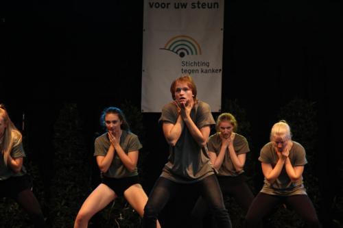 IMG 4536