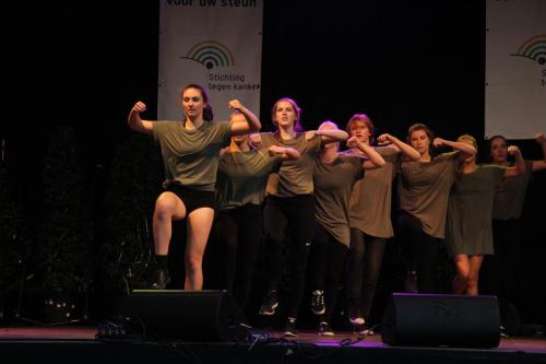 IMG 4542